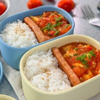 Tomato-Egg-Stir-Fry Bento 番茄炒蛋便当