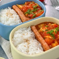 Tomato-Egg-Stir-Fry Bento 番茄炒蛋便当